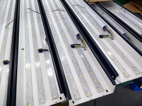 Economic Box Section Office Pendant Overhead LED Linear Light